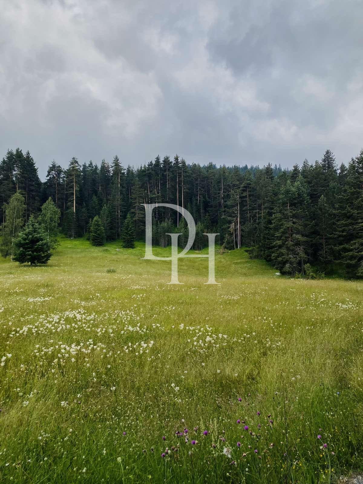 Działka w Zabljaku, Czarnogóra, 400m2 - Ref: 55356 zdjęcia 1