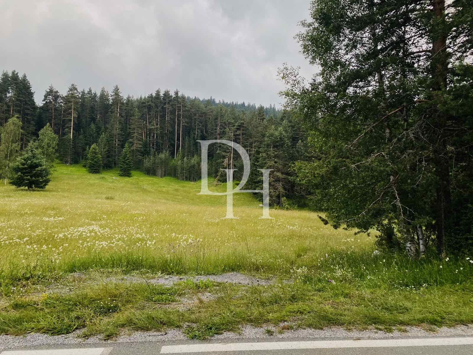 Działka w Zabljaku, Czarnogóra, 400m2 - Ref: 55356 zdjęcia 2