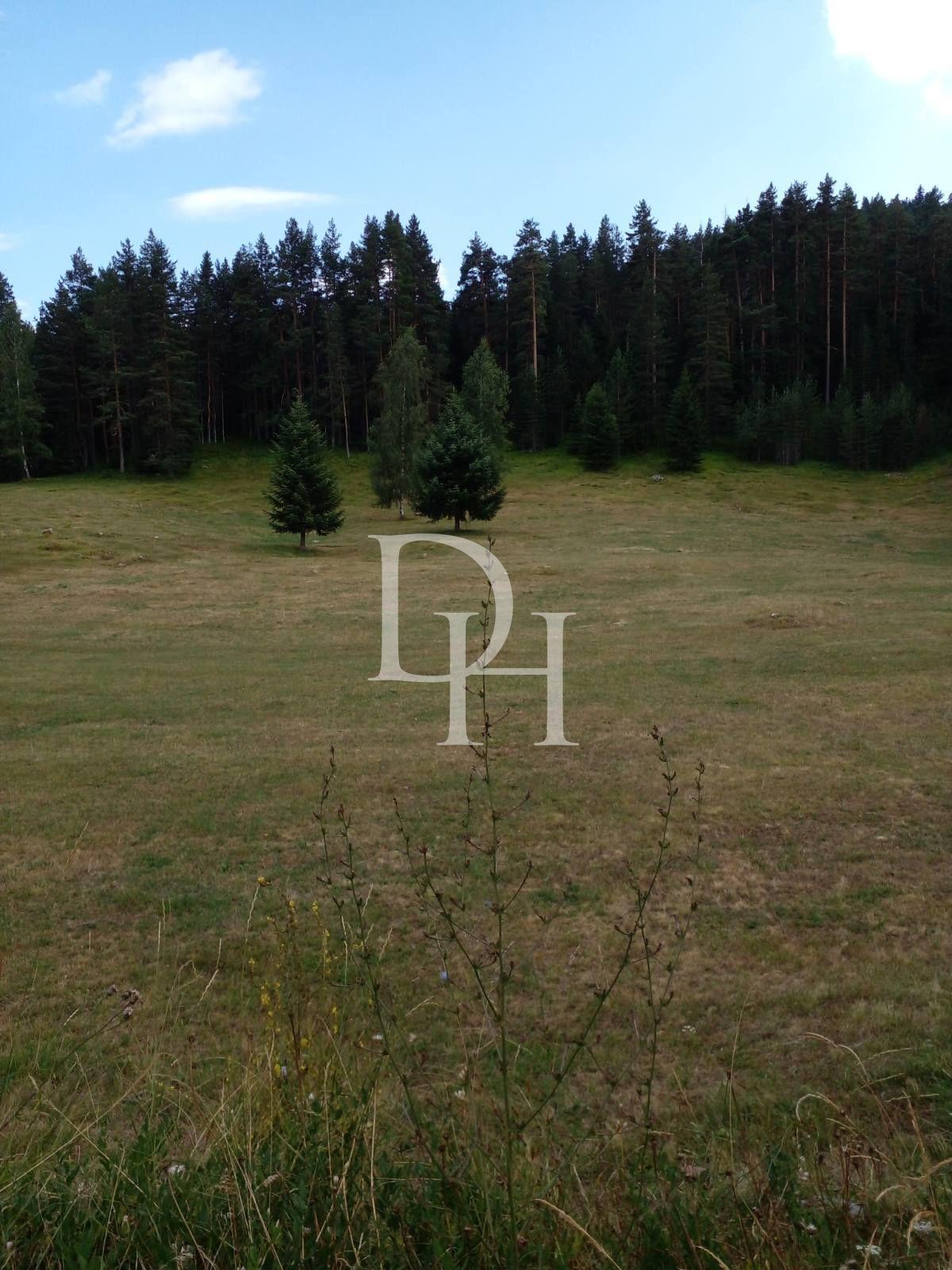 Działka w Zabljaku, Czarnogóra, 400m2 - Ref: 55356 zdjęcia 4