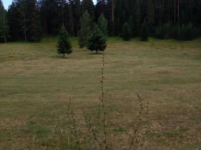 Działka w Zabljaku, Czarnogóra, 400m2 - Ref: 55356 zdjęcia 4