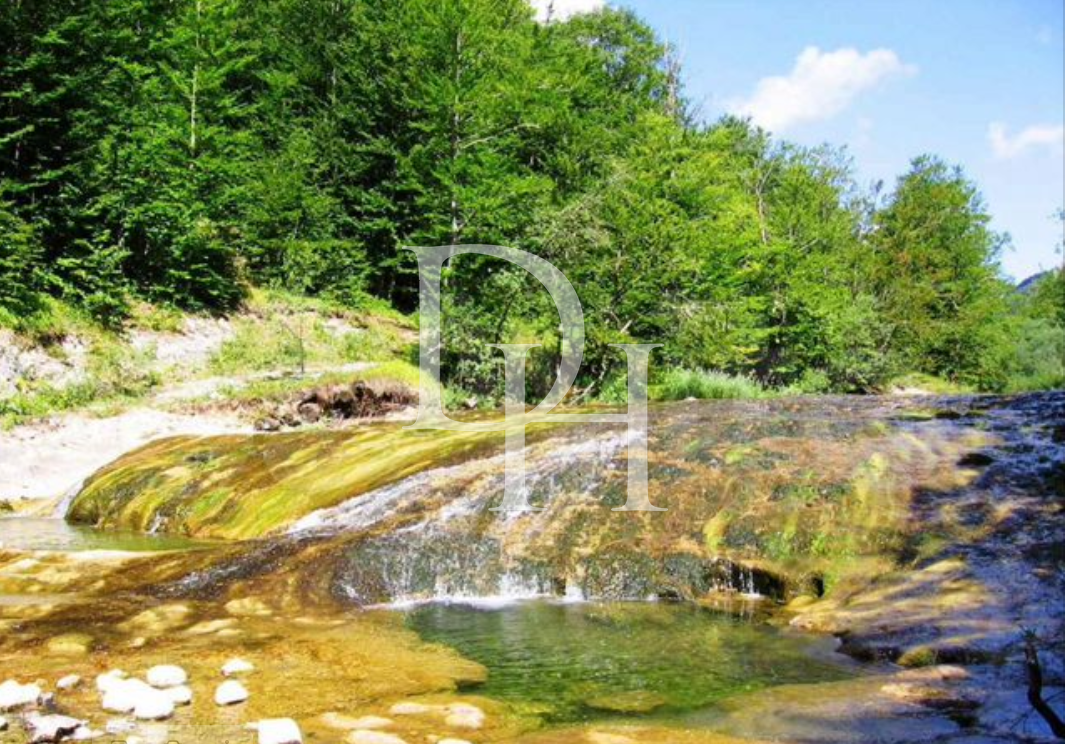 Działka w Zabljaku, Czarnogóra, 266 300m2 - koszt 30€ - Ref: 71099 zdjęcia 2