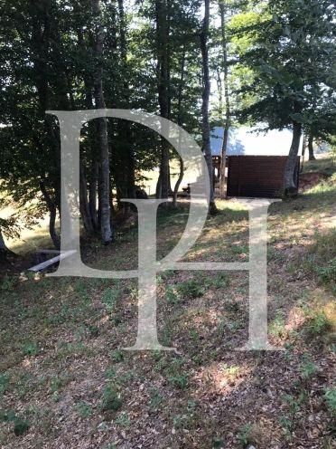 Коттедж в Жабляке, Черногория, 50м2 - стоимость 60&nbsp;000€ - Ref: 71098 фото 11