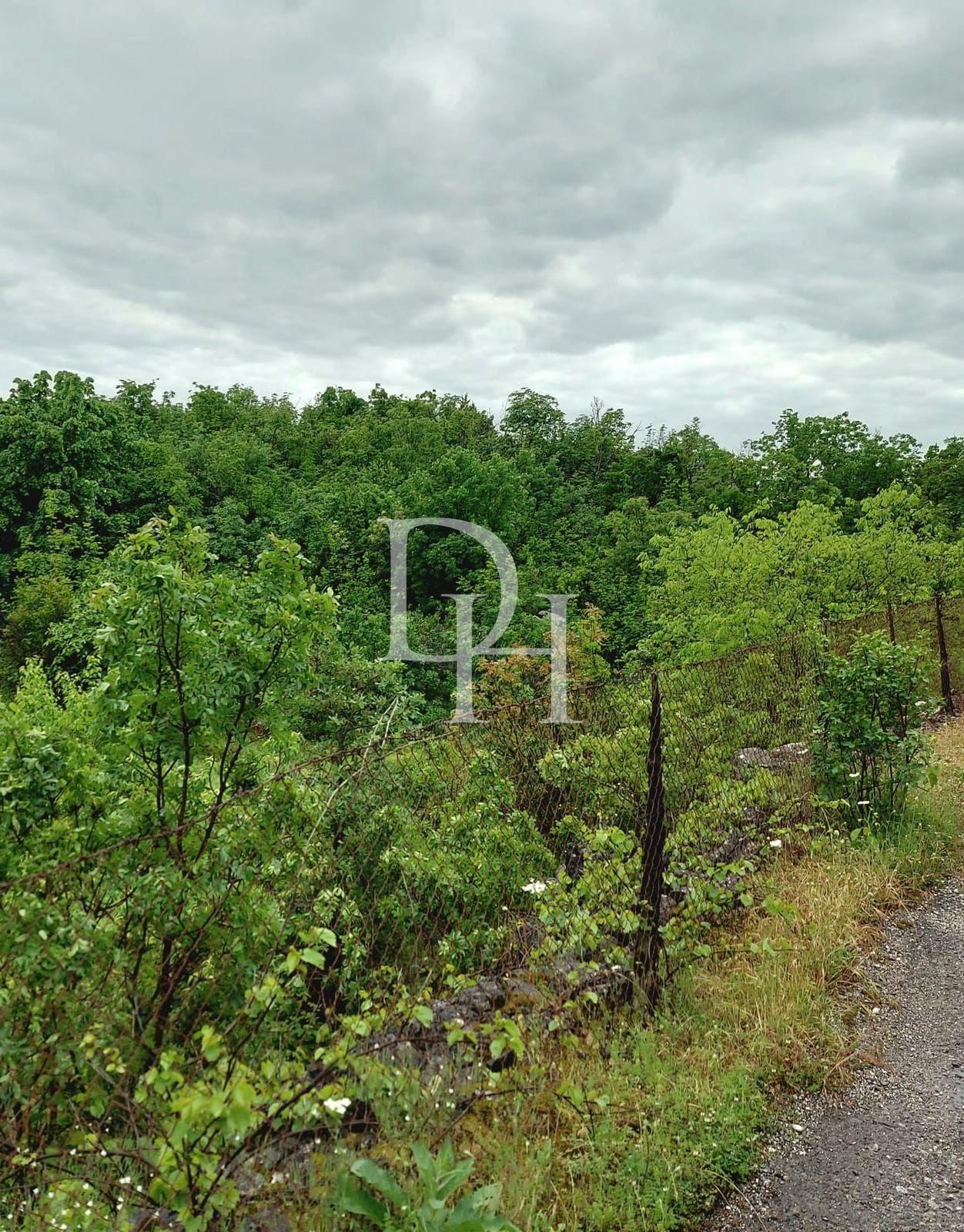 Участок в Цетине, Черногория, 13 000м2 - стоимость 75&nbsp;000€ - Ref: 71084 фото 3