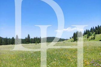 Участок в Жабляке, Черногория, 750м2 - стоимость 65&nbsp;000€ - Ref: 71018 фото 1