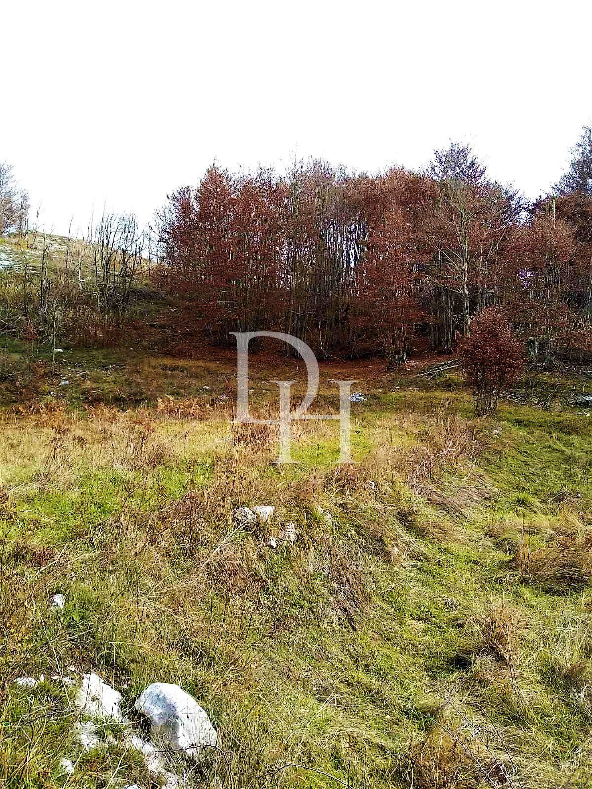 Коттедж в Цетине, Черногория, 120м2 - стоимость 70&nbsp;000€ - Ref: 70998 фото 2