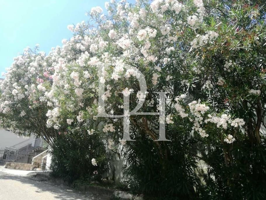 Domek w Becici, Czarnogóra, 88m2 - koszt 170&nbsp;000€ - Ref: 70919 zdjęcia 11