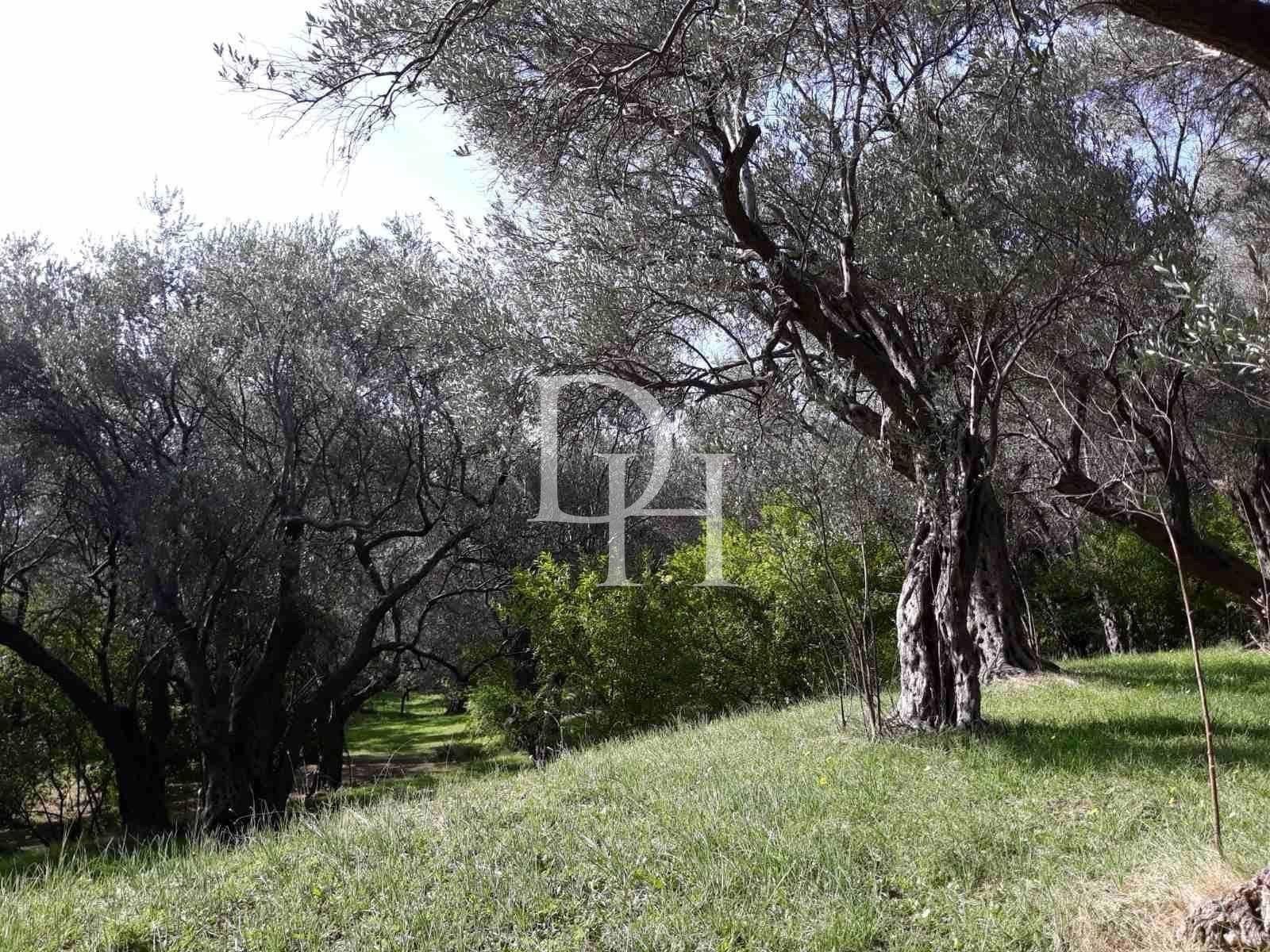 Вилла в Shushan в Баре, Черногория, 225м2 - стоимость 400&nbsp;000€ - Ref: 72185 фото 3