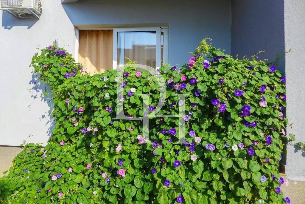 Отель в Утехе, Черногория, 220м2 - стоимость 280&nbsp;000€ - Ref: 72161 фото 5