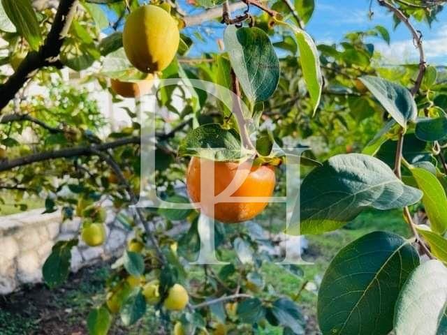 Коттедж в Добра воде, Черногория, 202м2 - стоимость 380&nbsp;000€ - Ref: 72110 фото 23