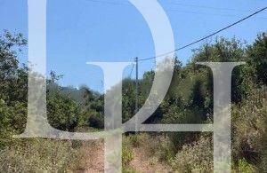 Land in Bar, Montenegro, 4 200m2 - for 89&nbsp;000€ - Ref: 72101 photo 1