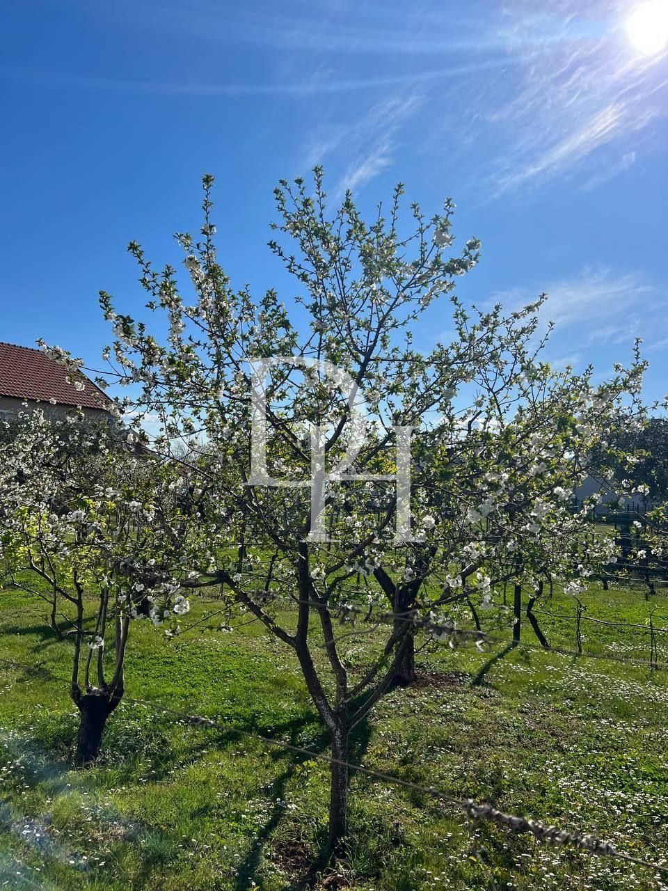 Mieszkania w Podgoricy, Czarnogóra, 70m2 - koszt 122&nbsp;500€ - Ref: 71999 zdjęcia 10