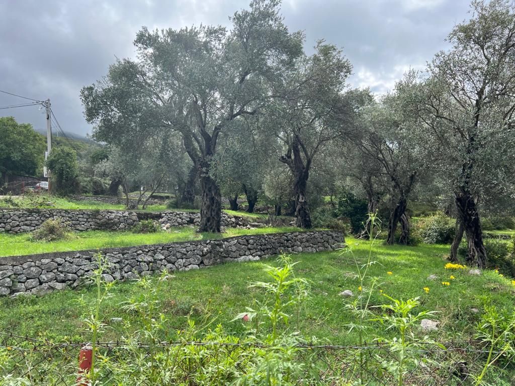 Villa in Bar, Montenegro, 183m2 - for 330&nbsp;000€ - Ref: 71995 photo 6