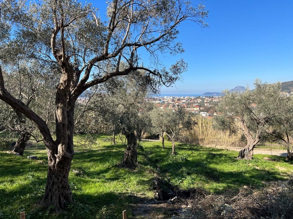 Villa in Bar, Montenegro, 183m2 - for 330&nbsp;000€ - Ref: 71995 photo 7