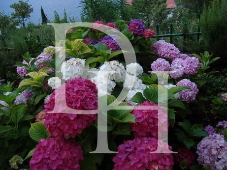 Коттедж в Крашичах, Черногория, 142м2 - стоимость 380&nbsp;000€ - Ref: 71992 фото 26