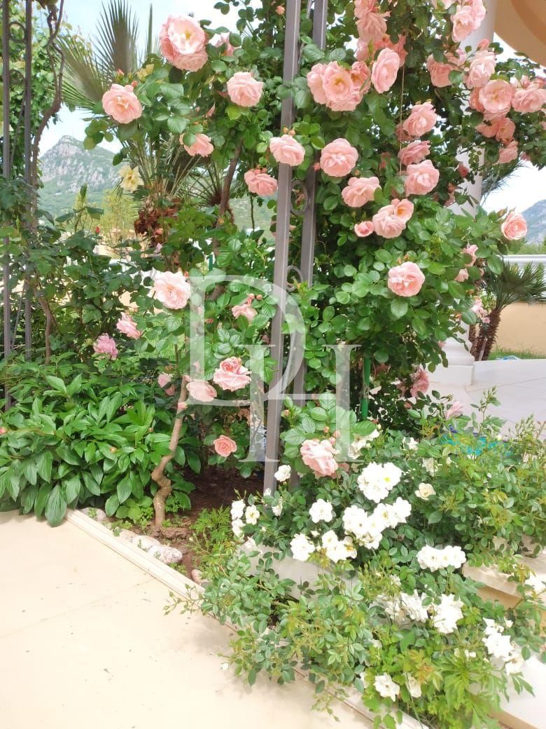 Вілла у Сутоморі, Чорногорія, 210м2 - вартість 420&nbsp;000€ - Ref: 71990 фото 11