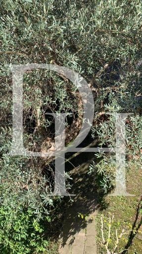 Коттедж в Баре, Черногория, 280м2 - стоимость 380&nbsp;000€ - Ref: 71963 фото 10