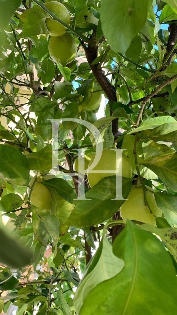 Коттедж в Баре, Черногория, 280м2 - стоимость 380&nbsp;000€ - Ref: 71963 фото 19