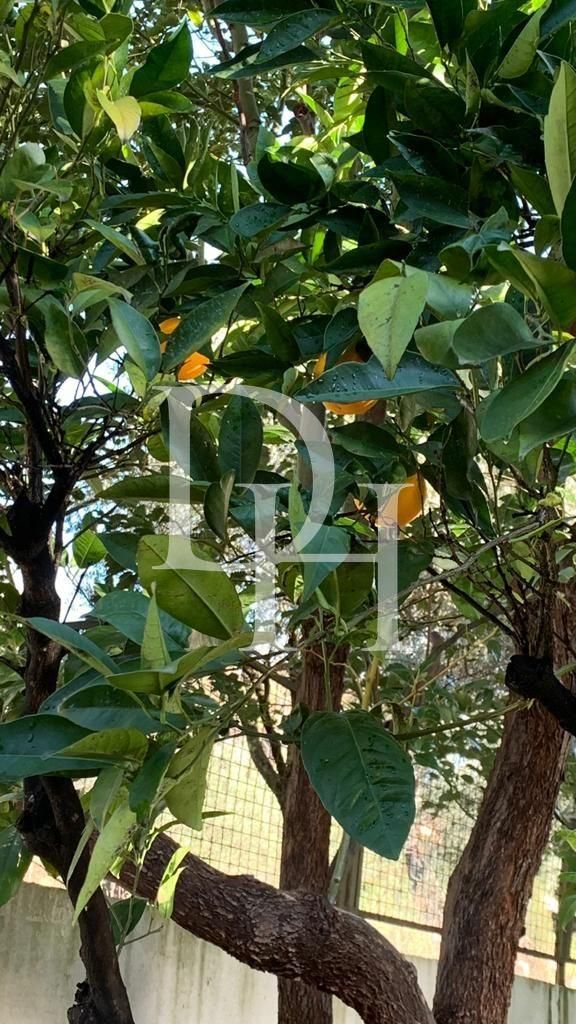 Коттедж в Баре, Черногория, 280м2 - стоимость 380&nbsp;000€ - Ref: 71963 фото 21