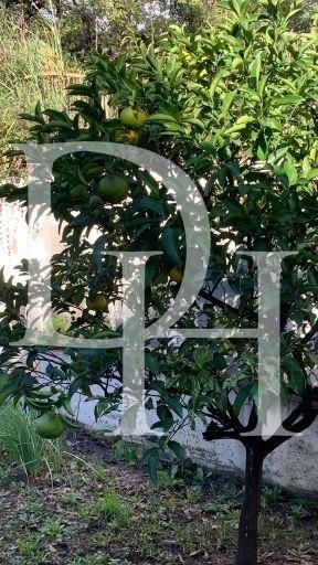 Коттедж в Баре, Черногория, 280м2 - стоимость 380&nbsp;000€ - Ref: 71963 фото 24