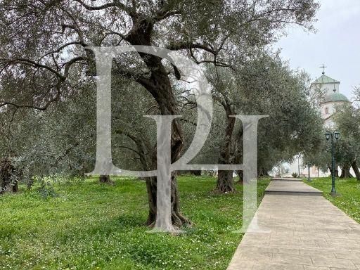 Коттедж в Ульцине, Черногория, 400м2 - стоимость 240&nbsp;000€ - Ref: 71958 фото 5