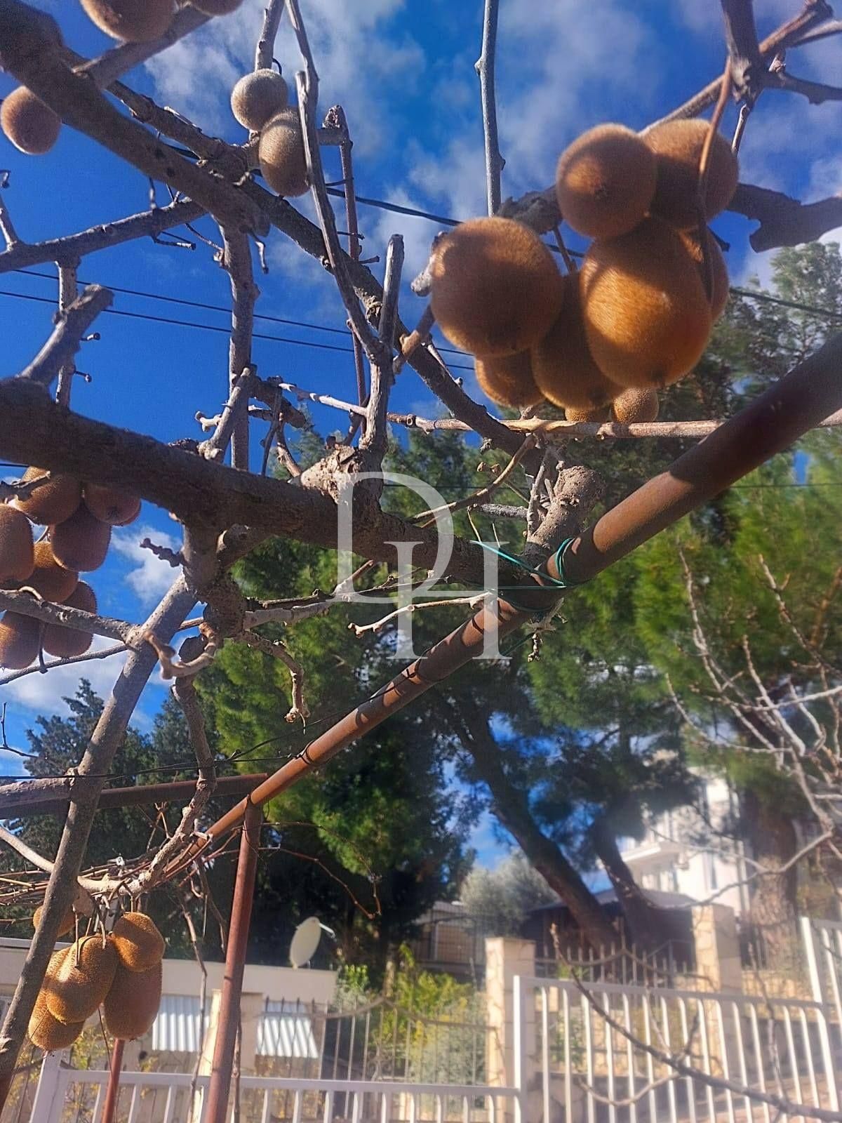 Cottage in Bar, Montenegro, 80m2 - for 134&nbsp;000€ - Ref: 71945 photo 3