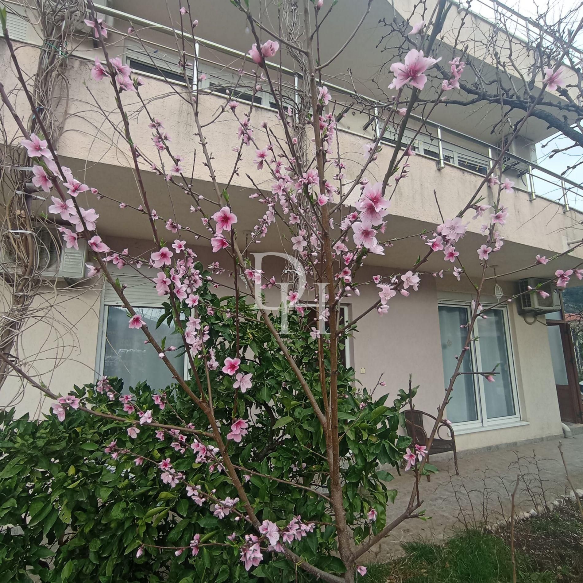 Отель в Будве, Черногория, 537м2 - стоимость 1&nbsp;655&nbsp;000€ - Ref: 71905 фото 2