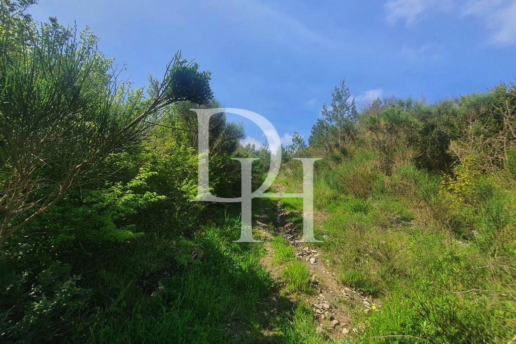 Участок в Сутоморе, Черногория, 1 727м2 - стоимость 155&nbsp;000€ - Ref: 71904 фото 1