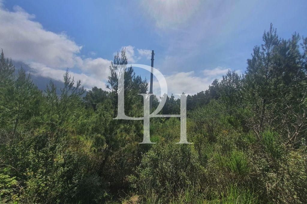 Участок в Сутоморе, Черногория, 1 727м2 - стоимость 155&nbsp;000€ - Ref: 71904 фото 2