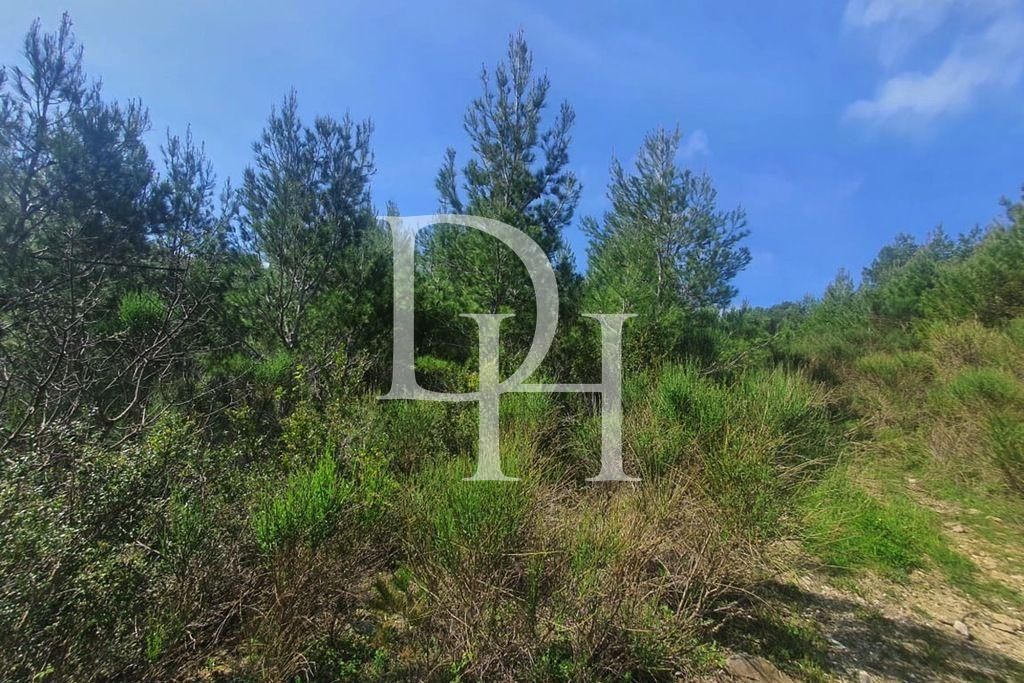 Участок в Сутоморе, Черногория, 1 727м2 - стоимость 155&nbsp;000€ - Ref: 71904 фото 4