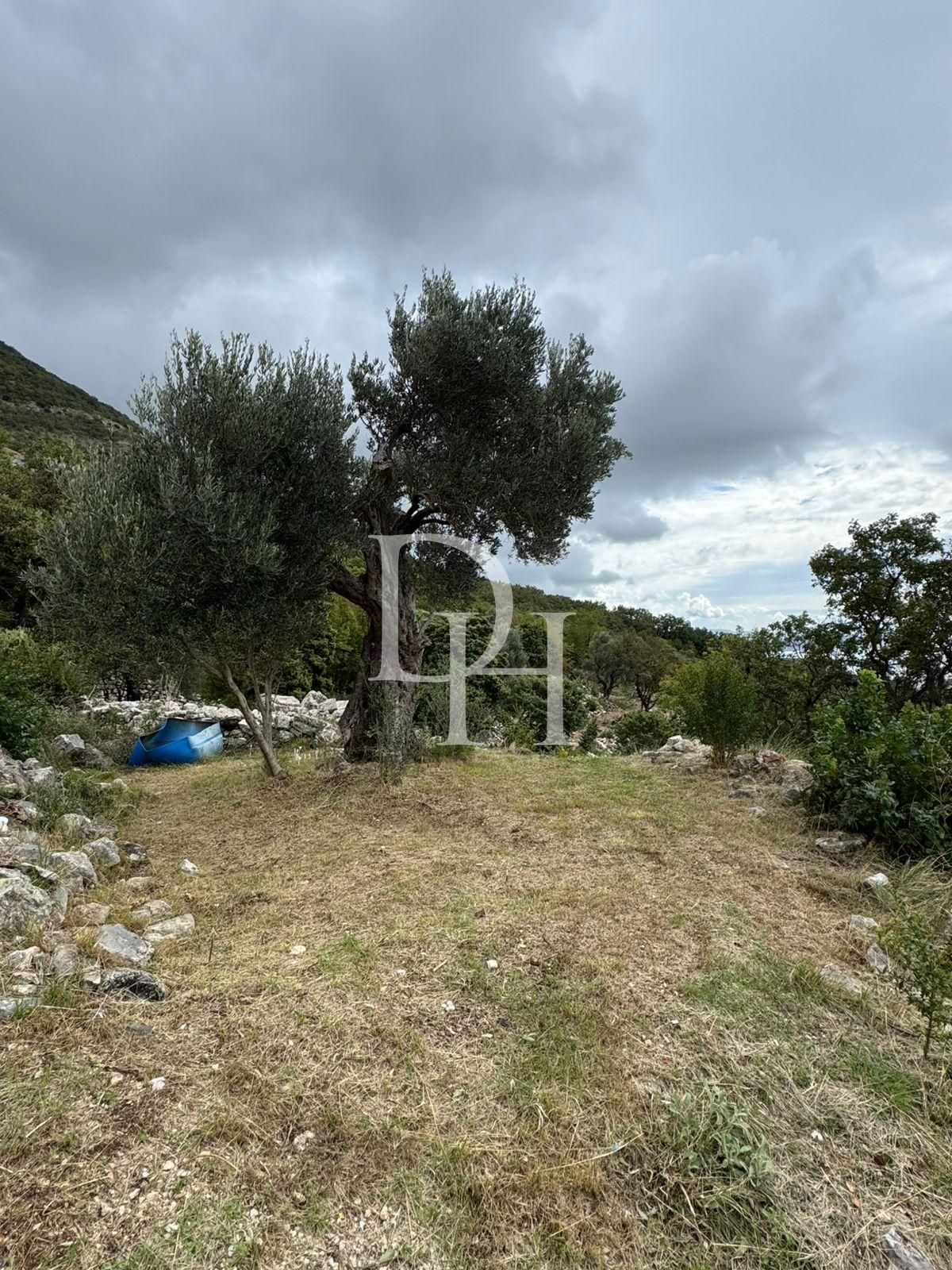 Land in Sutomore, Montenegro, 485m2 - for 43&nbsp;000€ - Ref: 71894 photo 4