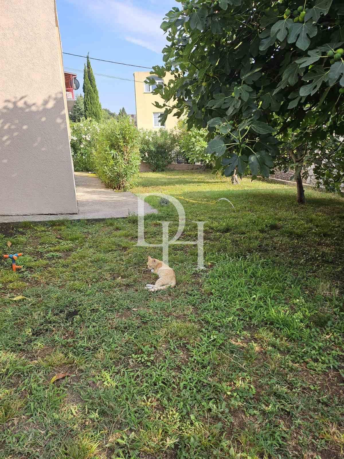 Domek w Sutomore, Czarnogóra, 90m2 - koszt 149&nbsp;000€ - Ref: 71818 zdjęcia 5