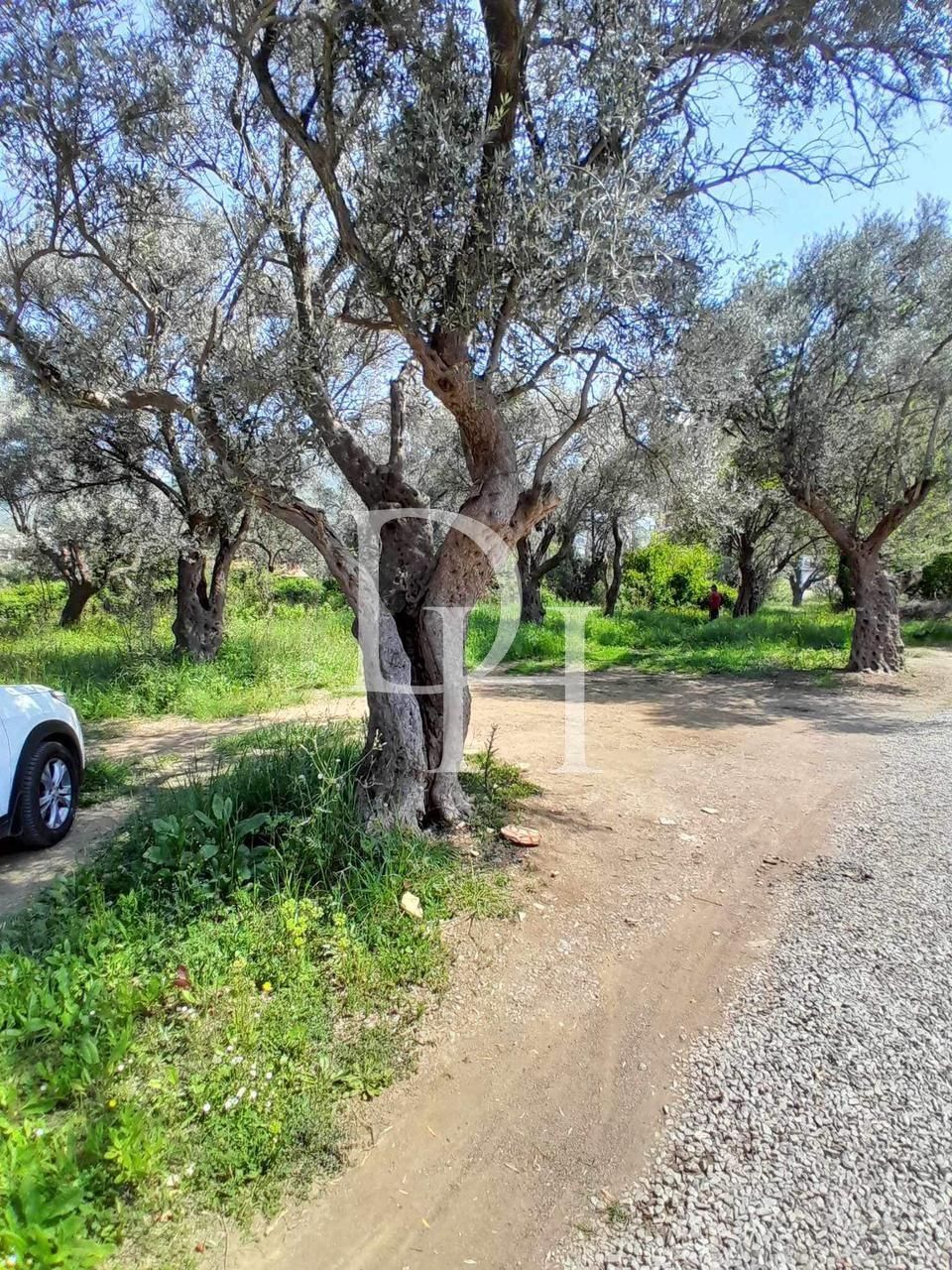 Land in Bar, Montenegro, 503m2 - for 100&nbsp;000€ - Ref: 71811 photo 2