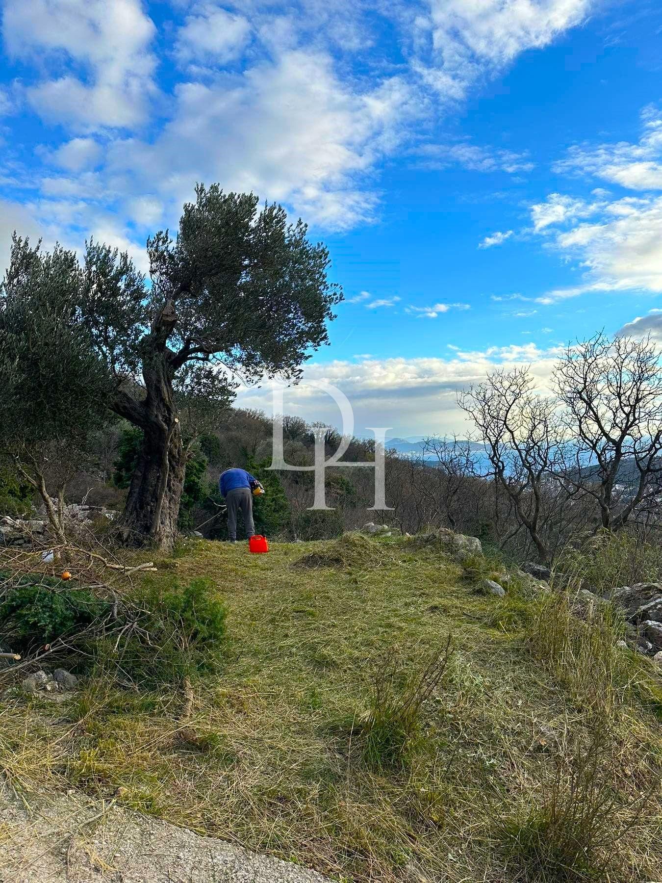 Участок в Сутоморе, Черногория, 485м2 - стоимость 45&nbsp;000€ - Ref: 71810 фото 4