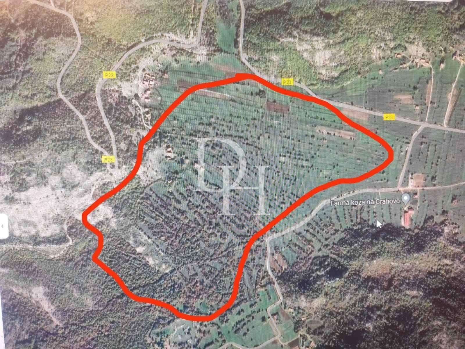 Участок в Никшиче, Черногория, 130 000м2 - стоимость 300&nbsp;000€ - Ref: 71809 фото 6