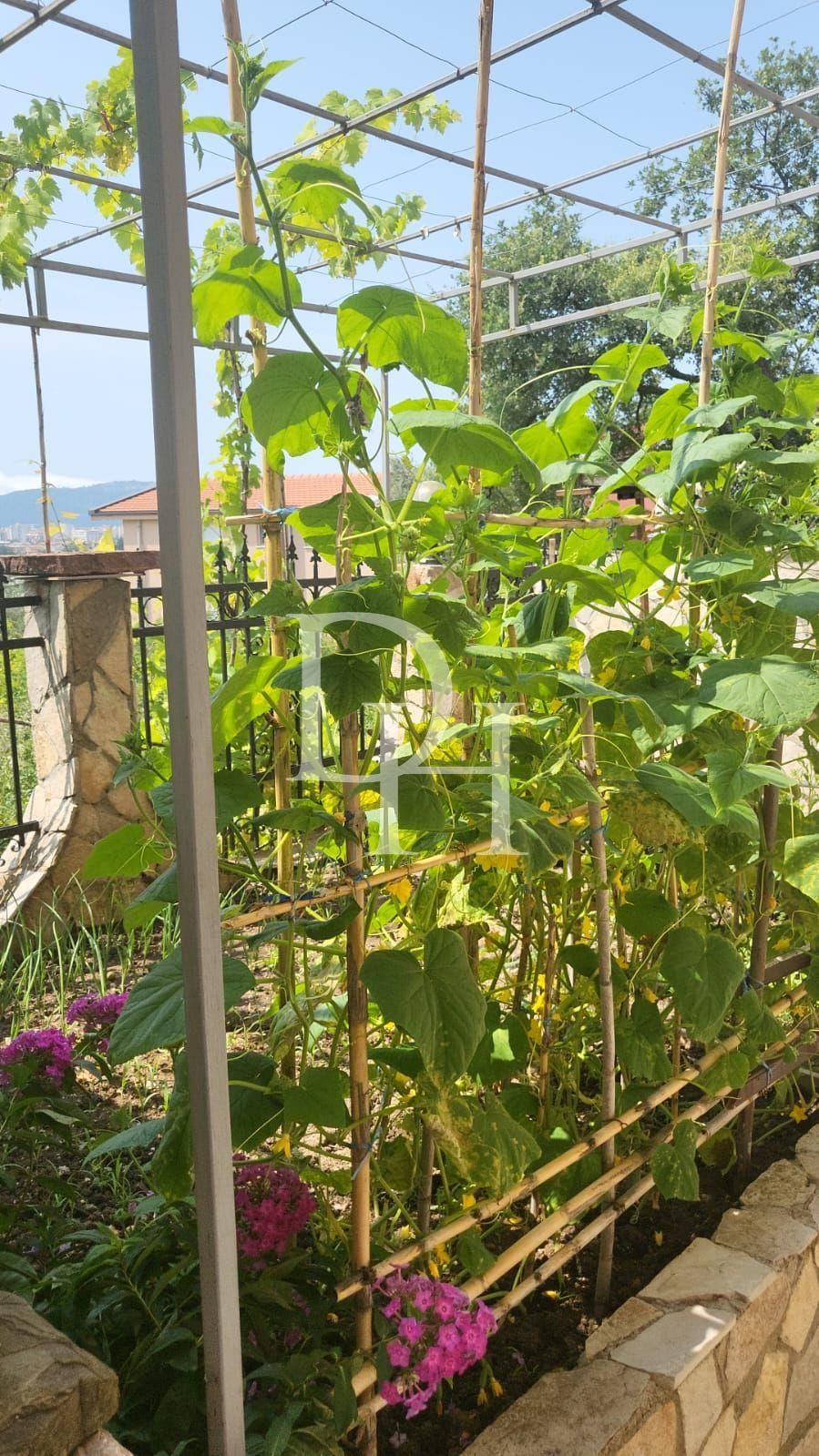 Häuschen in der Bar, Montenegro, 150m2 - kosten 165&nbsp;000€ - Ref: 71584 foto 12