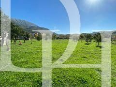 Cottage in Bar, Montenegro, 200m2 - for 550&nbsp;000€ - Ref: 71459 photo 1