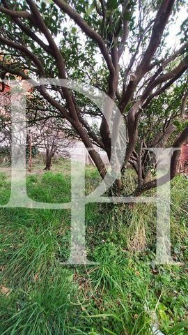 Land in Sutomore, Montenegro, 210m2 - kosten 30&nbsp;000€ - Ref: 71457 foto 5