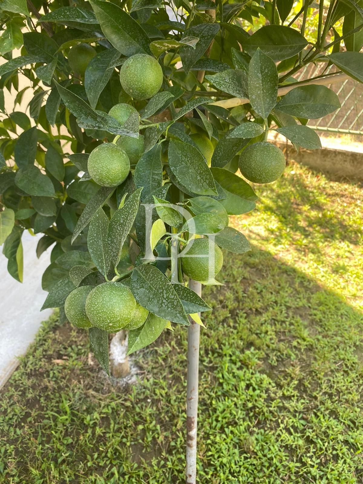 Domek w Ulcinju, Czarnogóra, 234m2 - koszt 215&nbsp;000€ - Ref: 71422 zdjęcia 28