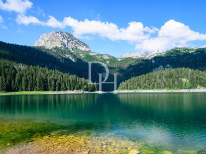 Участок в Жабляке, Черногория, 1 136м2 - стоимость 124&nbsp;960€ - Ref: 71072 фото 3