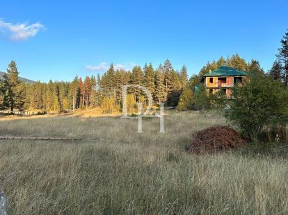 Cottage in Zabljak, Montenegro, 850m2 - for 1&nbsp;570&nbsp;000€ - Ref: 71062 photo 2