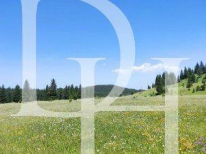 Участок в Жабляке, Черногория за 65 000€ (ID:71018)