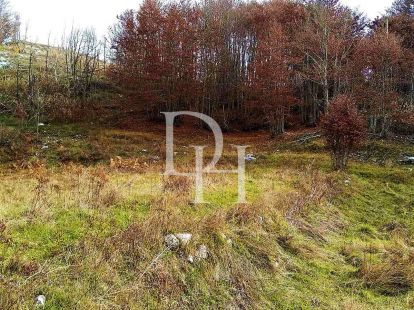 Коттедж в Цетине, Черногория, 120м2 - стоимость 70&nbsp;000€ - Ref: 70998 фото 2