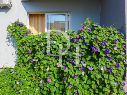 Отель в Утехе, Черногория, 220м2 - стоимость 280&nbsp;000€ - Ref: 72161 фото 5