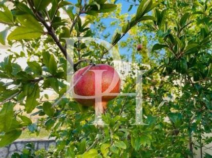 Коттедж в Добра воде, Черногория, 202м2 - стоимость 380&nbsp;000€ - Ref: 72110 фото 27