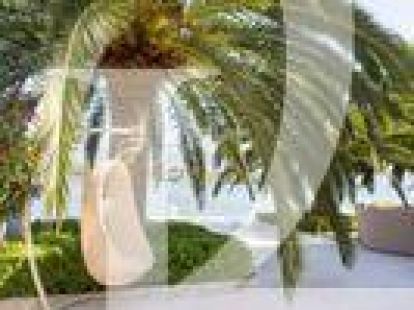 Вилла в Тивате, Черногория, 286м2 - стоимость 3&nbsp;900&nbsp;000€ - Ref: 72021 фото 8