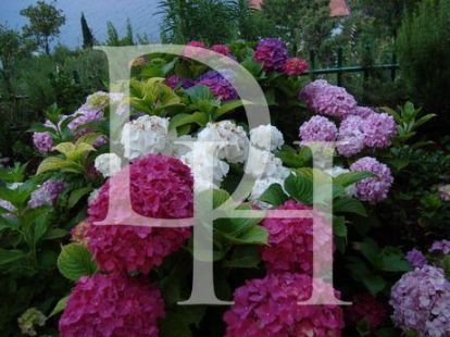 Коттедж в Крашичах, Черногория, 142м2 - стоимость 380&nbsp;000€ - Ref: 71992 фото 26