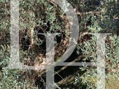 Коттедж в Баре, Черногория, 280м2 - стоимость 380&nbsp;000€ - Ref: 71963 фото 10