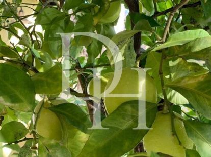 Коттедж в Баре, Черногория, 280м2 - стоимость 380&nbsp;000€ - Ref: 71963 фото 19