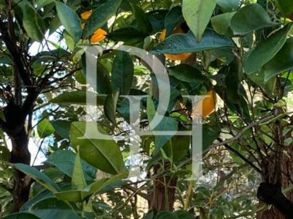 Коттедж в Баре, Черногория, 280м2 - стоимость 380&nbsp;000€ - Ref: 71963 фото 21