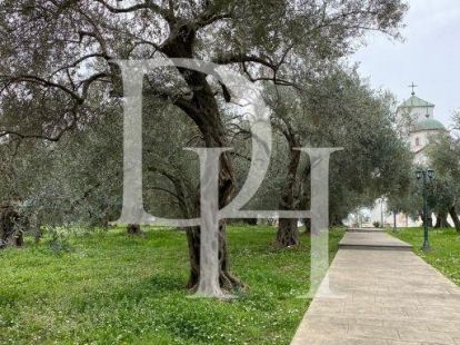 Коттедж в Ульцине, Черногория, 400м2 - стоимость 240&nbsp;000€ - Ref: 71958 фото 5